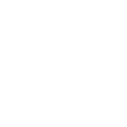 Workflow flowchart icon