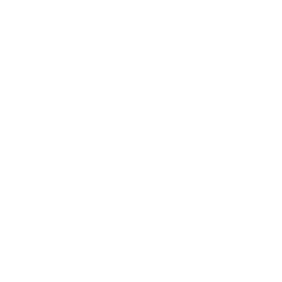 Software interface icon